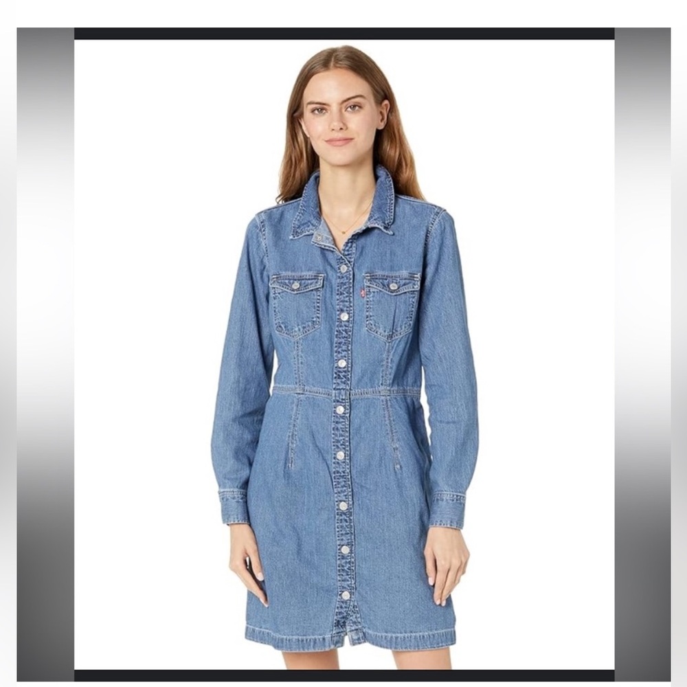 Levi brand Ellie denim dress.